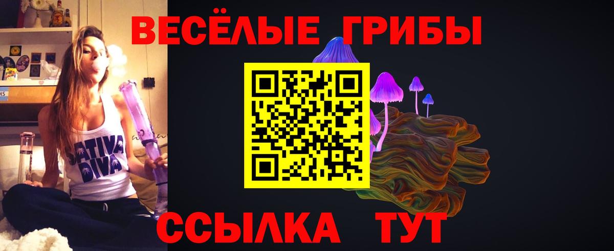 Галлюциногенные грибы Magic Shrooms Нальчик