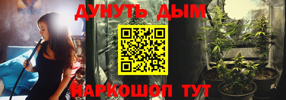 Канабис Amnesia  Бошки Шишки тримм  Вход с VPN  Бошки Шишки сатива  Бошки марихуана Bruce Banner  Нальчик 
